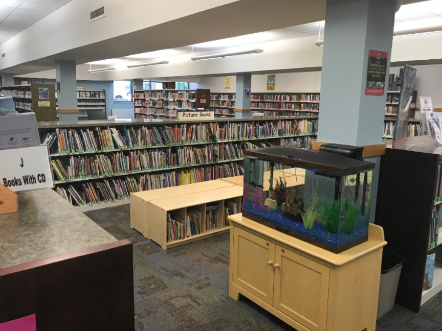The library has made changes to accommodate CDC regulations and follow Dane County rules and guidelines. 