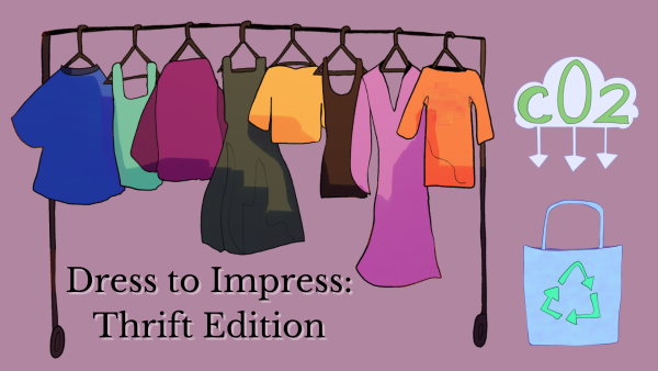 Dress to Impress: Thrift Edition