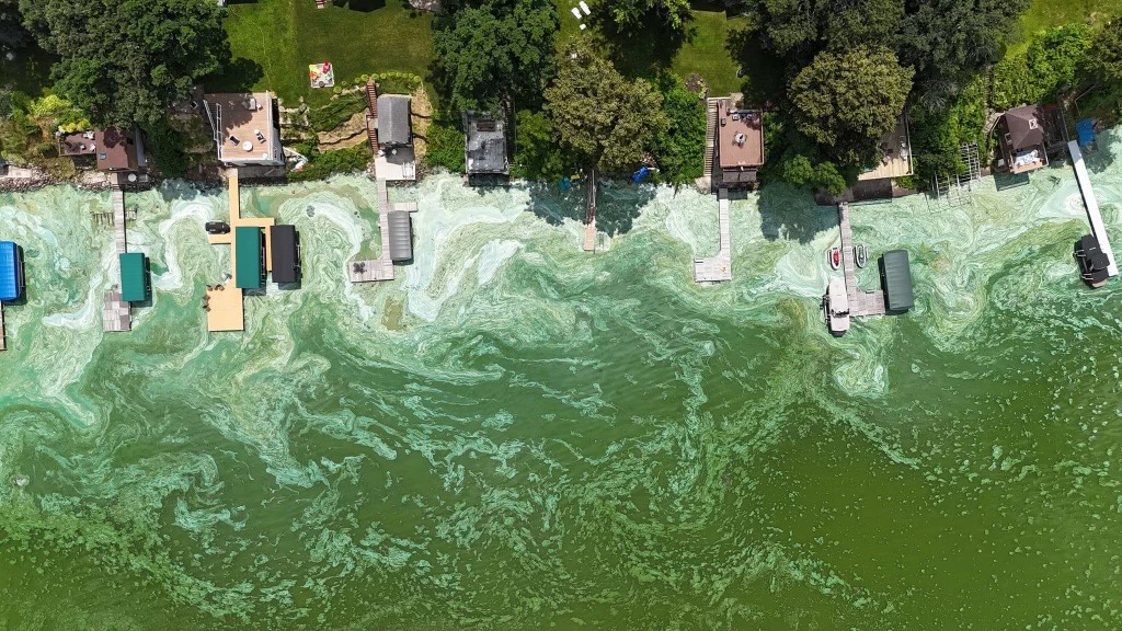 Lake Kegonsa's shoreline over the summer covered in foam and blue-green algae.  