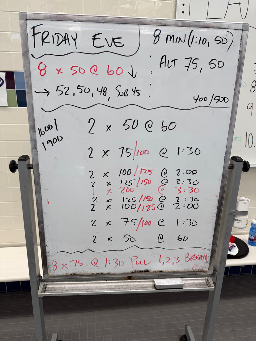 Experiencing FLEX swimming